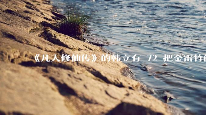 《凡人修仙传》的韩立有 72 把金雷竹做的剑，其他人看见了不觉得奇怪吗？