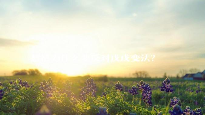 慈禧为什么要反对戊戌变法？